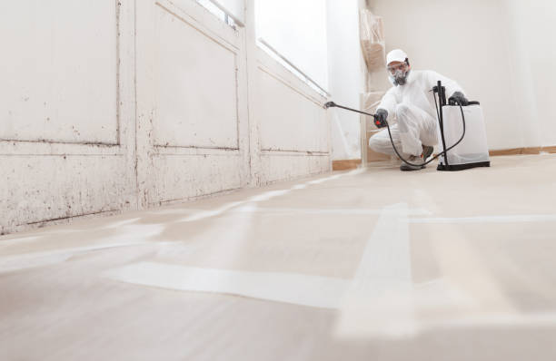 24/7 Emergency Mold Remediation experts in Princeton, NJ