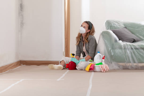 Reliable Mold Remediation contractor in Princeton, NJ by Cheap Mold Removal
